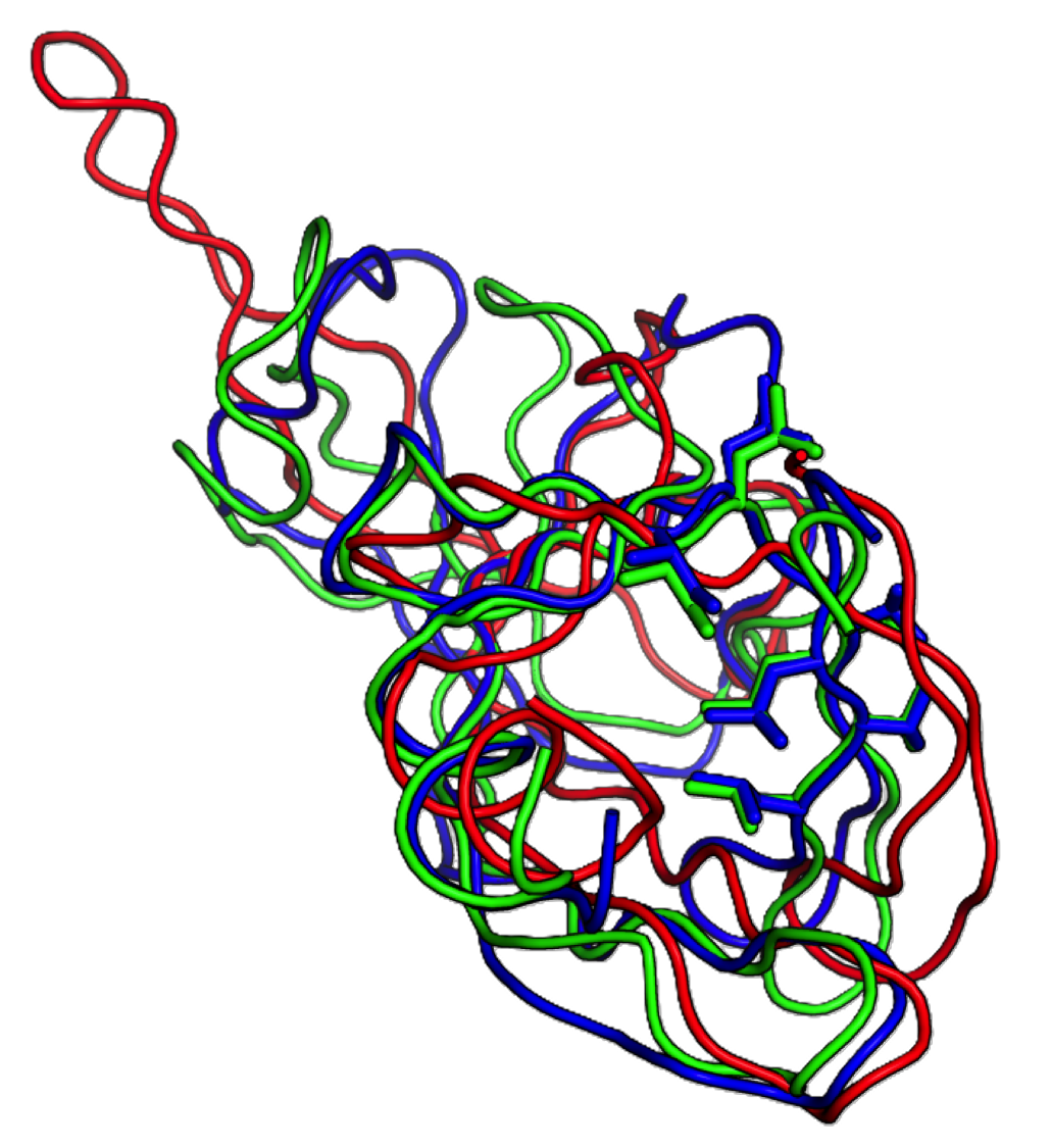Protein structure